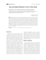 Easy and rapid detection of iron in rice grain