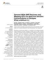Genome-Wide SNP discovery and mapping QTLs for seed iron and zinc concentrations in Chickpea (Cicer arietinum L.)
