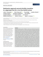 Multiomics approach unravels fertility transition in a pigeonpea line for a two‐line hybrid system