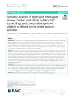 Genomic analysis of Leptospira interrogans serovar Paidjan and Dadas isolates from carrier dogs and comparative genomic analysis to detect genes under positive selection