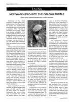 Nestwatch project: The oblong turtle