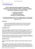 Notes on Hawaiian Marine Benthic Chlorophyta: Cladophora tildeniae Brand in Tilden, Cladophora tildeniae Brand, and Cladophora hawaiiana Tilden