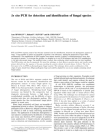 In situ PCR for detection and identification of fungal species