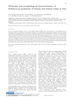 Molecular and morphological characterization of Echinococcus granulosus of human and animal origin in Iran