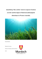 Quantifying ‘blue carbon’ stocks in seagrass Posidonia australis and the impact of historical anthropogenic disturbance in Western Australia.