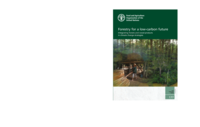 Forestry for a low carbon future. Integrating forests and wood products in climate change strategies