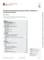 The Spirochete Brachyspira pilosicoli, enteric pathogen of animals and humans