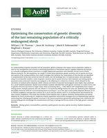 Optimising the conservation of genetic diversity of the last remaining population of a critically endangered shrub