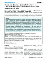 Dietary iron enhances colonic inflammation and IL-6/IL-11-Stat3 signaling promoting colonic tumor development in mice