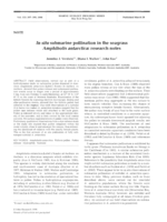 In situ submarine pollination in the seagrass Amphibolis antarctica: research notes