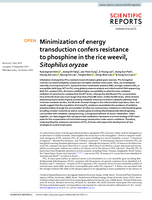 Minimization of energy transduction confers resistance to phosphine in the rice weevil, Sitophilus oryzae