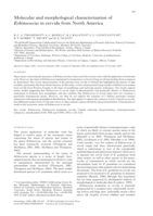 Molecular and morphological characterization of Echinococcus in cervids from North America