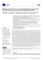 Phenotypic variation in Vietnamese osteogenesis imperfecta patients sharing a recessive P3H1 pathogenic variant