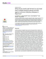 What drives small-scale farmers to vaccinate their multiple livestock species animals against common infectious diseases in Myanmar?