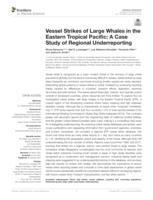 Vessel Strikes of Large Whales in the Eastern Tropical Pacific: A Case Study of Regional Underreporting