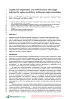 Cryptic U2-dependent pre-mRNASplice site usage induced by splice switching antisense oligonucleotides