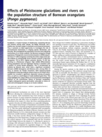 Effects of Pleistocene glaciations and rivers on the population structure of Bornean orangutans (Pongo pygmaeus)
