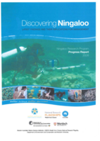 Health and hatching success of Western Australian loggerhead turtle (Caretta caretta) nesting populations
