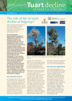 The role of fire in tuart decline at Yalgorup?