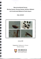 Macroinvertebrate survey : Munday Swamp, Runway Swamp, northern wetland and constructed wetland at Perth Airport: final report
