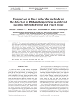 Comparison of three molecular methods for the detection of pilchard herpesvirus in archived paraffin-embedded tissue and frozen tissue