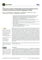 Consensus genetic linkage map construction based on one common parental line for QTL mapping in wheat