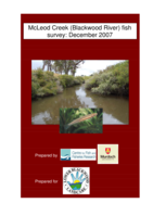 McLeod Creek (Blackwood River) fish survey: December 2007