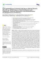 Soil-Applied boron combined with Boron-Tolerant Bacteria (Bacillus sp. MN54) improve root proliferation and nodulation, yield and agronomic grain biofortification of chickpea (Cicer arietinum L.)