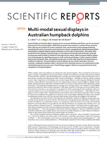Multi-modal sexual displays in Australian humpback dolphins