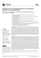 Streptococcosis a re-emerging disease in aquaculture: Significance and phytotherapy