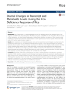 Diurnal changes in transcript and metabolite levels during the iron deficiency response of rice