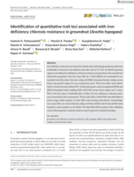 Identification of quantitative trait loci associated with iron deficiency chlorosis resistance in groundnut (Arachis hypogaea)