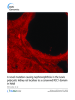A novel mutation causing nephronophthisis in the Lewis polycystic kidney rat localises to a conserved RCC1 domain in Nek8