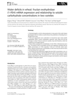 Water deficits in wheat: Fructan exohydrolase (1-FEH) mRNA expression and relationship to soluble carbohydrate concentrations in two varieties