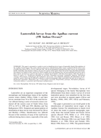 Lanternfish larvae from the Agulhas current (SW Indian Ocean)