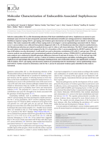 Molecular characterization of endocarditis-associated Staphylococcus aureus