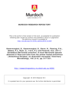 Candidatus Bartonella antechini: A novel Bartonella species detected in fleas and ticks from the yellow-footed antechinus (Antechinus flavipes), an Australian marsupial