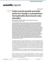 Faster juvenile growth promotes earlier sex change in a protandrous hermaphrodite (barramundi Lates calcarifer)