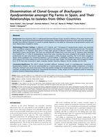 Dissemination of clonal groups of Brachyspira hyodysenteriae amongst Pig farms in Spain, and their relationships to isolates from other countries