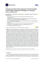 Comparative root transcriptomics provide insights into drought adaptation strategies in Chickpea (Cicer arietinum L.)