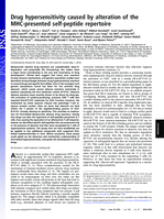 Drug hypersensitivity caused by alteration of the MHC-presented self-peptide repertoire