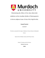 Determining the effects of low-dose ultraviolet radiation on the circadian rhythm of thermogenesis in brown adipose tissue of mice fed a high fat diet.