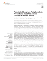 Potential of sorghum polyphenols to prevent and treat alzheimer’s disease: A review article