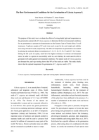 The best environmental conditions for the germination of Celosia Argentea L
