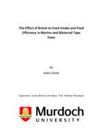 The effect of breed on feed intake and feed efficiency in Merino and maternal type ewes
