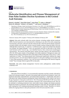 Molecular Identification and Disease Management of Date Palm Sudden Decline Syndrome in the United Arab Emirates