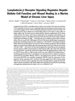Lymphotoxin-β receptor signaling regulates hepatic stellate cell function and wound healing in a murine model of chronic liver injury