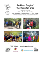 Bushland fungi of the Busselton area