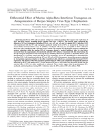 Differential effect of murine alpha/beta interferon transgenes on antagonization of herpes simplex virus type 1 replication