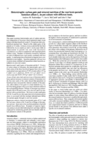 Heterotrophic carbon gain and mineral nutrition of the root hemi-parasiteSantalum albumL. in pot culture with different hosts
